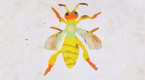 insect_1940